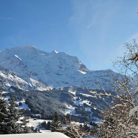 Apartment Primula By Interhome Wengen Exterior foto